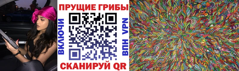 Псилоцибиновые грибы GOLDEN TEACHER  купить наркоту  Шахты 